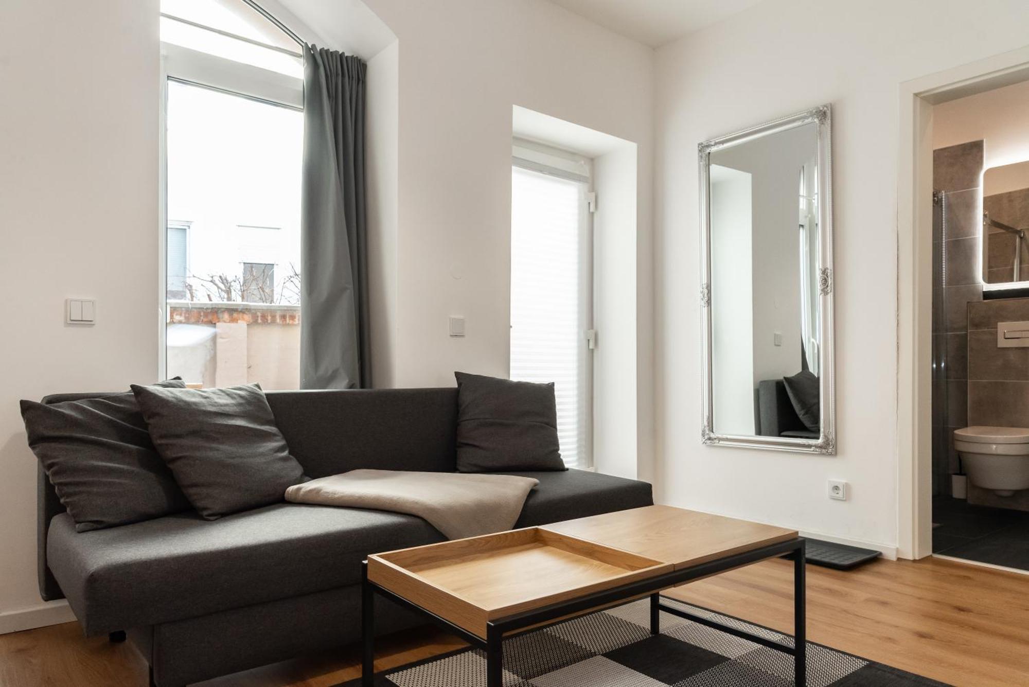 Gewoelbewohnung Mit Terrasse Appartement Dresden